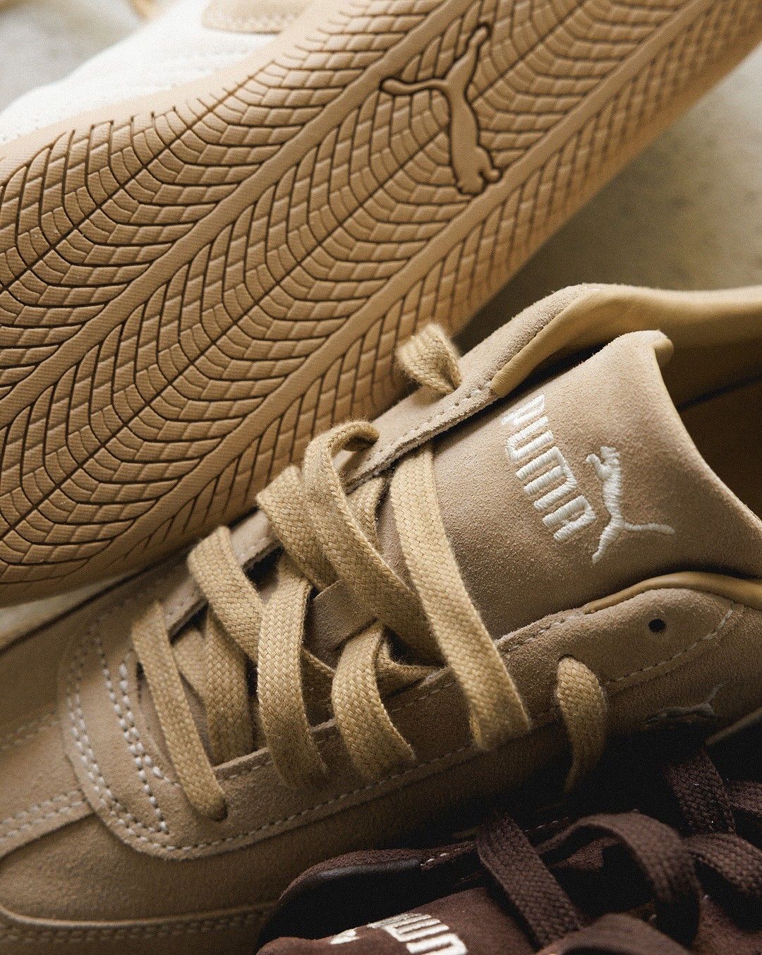 puma